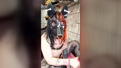 Snapshot of pup_maxie chatting on July 31, 6:29 pm Pup Maxie HeHim online show from July 31, 6:29 pm