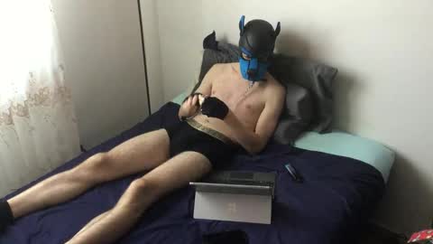 Snapshot of pup_toby chatting on November 5, 11:10 am Toby online show from November 5, 11:10 am