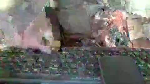 pup_y online show from January 12, 1:16 pm