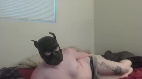 Snapshot of puptav chatting on March 5, 1:01 am puptav online show from March 5, 1:01 am