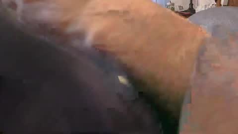 Snapshot of purdyguy7777 chatting on February 24, 2:15 pm purdyguy7777 online show from February 24, 2:15 pm