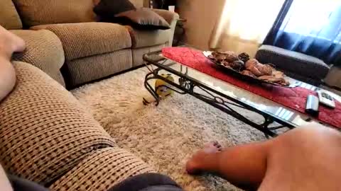 Snapshot of purdyguy7777 chatting on March 19, 7:40 pm purdyguy7777 online show from March 19, 7:40 pm