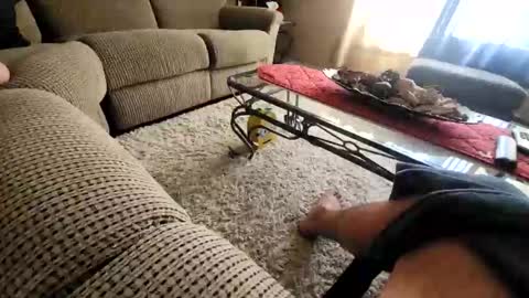 Snapshot of purdyguy7777 chatting on March 20, 7:52 pm purdyguy7777 online show from March 20, 7:52 pm