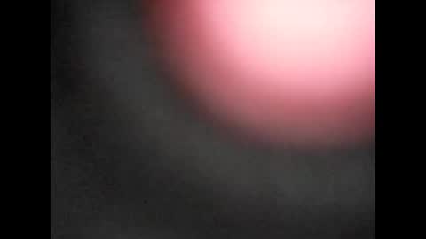 Snapshot of pureblood84 chatting on January 11, 12:32 pm Bart online show from January 11, 12:32 pm