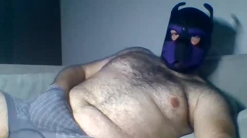 Snapshot of purple_pup_bear chatting on August 6, 9:39 pm purple_pup_bear online show from August 6, 9:39 pm