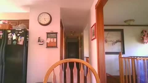 pussylover1365 online show from October 16, 9:16 pm