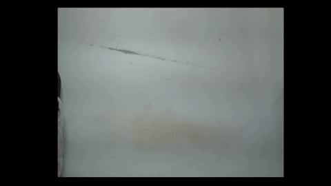 pussyxwetx online show from February 4, 8:14 pm