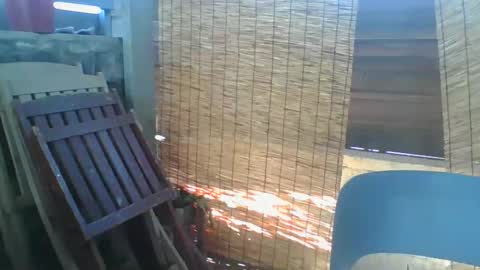 Python online show from February 26, 9:30 am