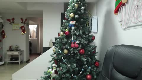  Zafiro  ILL BROADCAST UNTIL DECEMBER  Onlyfans  online show from November 17, 12:33 pm