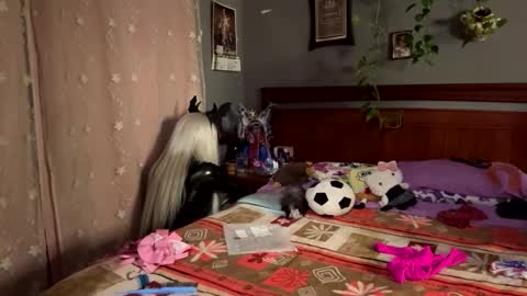 queenchaina online show from November 22, 6:34 am