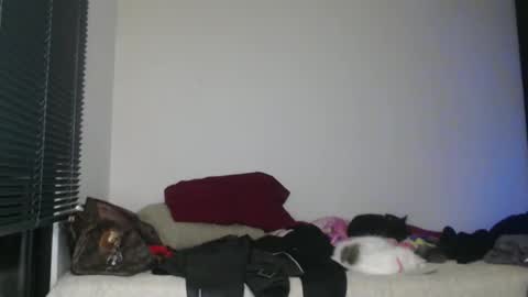 Nico online show from January 2, 3:15 am