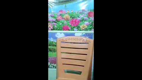 queensuperlady online show from January 18, 9:57 am