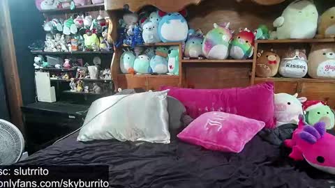 Sky Burrito online show from October 6, 5:32 pm