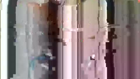 r04233054 online show from November 29, 8:50 am