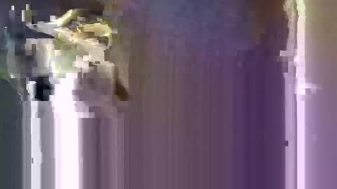 r04233054 online show from January 10, 8:16 am