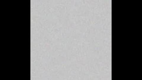 Rabbit Snake online show from November 19, 2:33 am