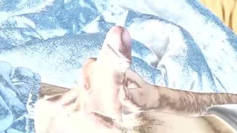 rabo_rico online show from February 26, 10:14 am