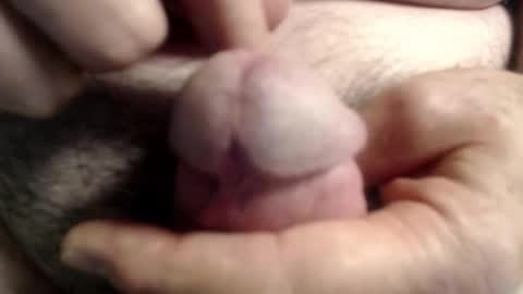 Ray online show from November 6, 1:45 pm