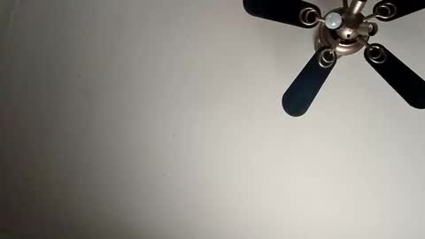 randallcody15 online show from January 6, 9:11 pm