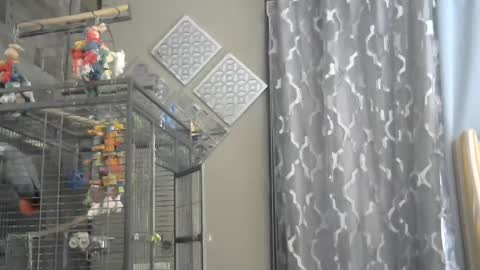 Randy8inbater online show from December 1, 9:26 pm