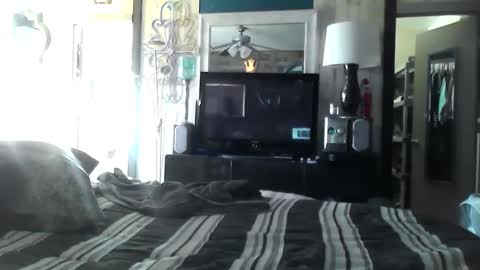 Randy8inbater online show from December 10, 6:17 pm