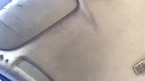 Brissycouple269 online show from November 20, 11:37 pm