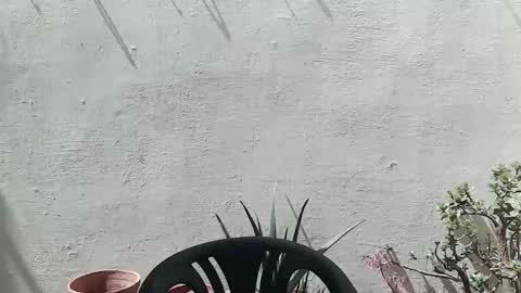 Ran online show from April 25, 11:02 am