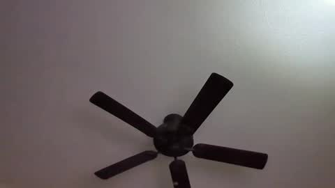 ravenhawk7 online show from September 11, 2:55 am