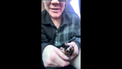 Snapshot of ravenrayyy chatting on February 9, 4:22 pm Raven Ray online show from February 9, 4:22 pm