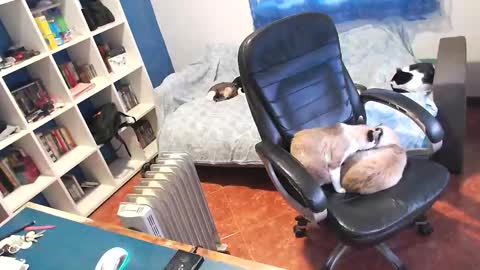 ravingr3d3 online show from January 11, 3:28 pm