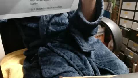 Ray online show from November 23, 3:39 am