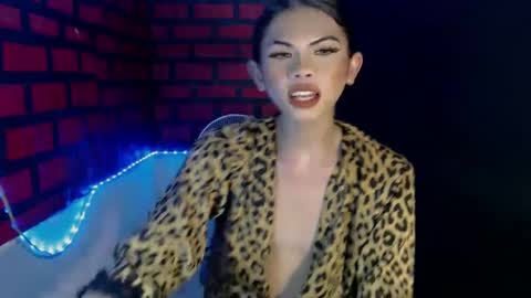 cindy online show from December 11, 3:24 am