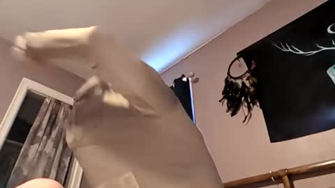 raziebaby online show from April 27, 2:15 pm