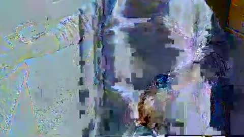 rb69er905364 online show from April 30, 5:08 pm