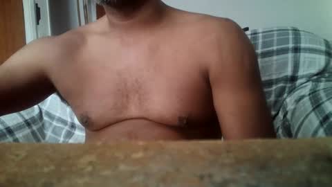 readymade1384553 online show from November 29, 2:09 pm