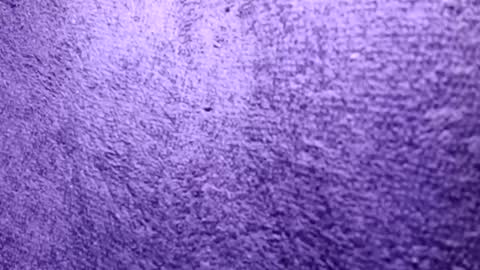 Rasta online show from October 21, 6:30 pm