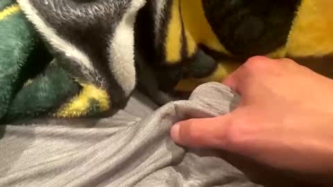 Snapshot of realbigload77 chatting on September 20, 2:23 am realbigload77 online show from September 20, 2:23 am