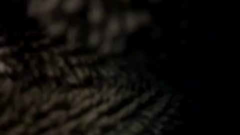 Snapshot of realmanz chatting on January 8, 6:09 pm realmanz online show from January 8, 6:09 pm