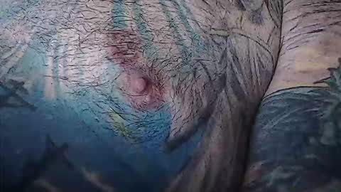 realrubpirate online show from February 3, 9:03 am