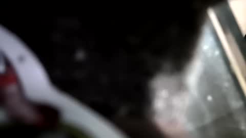 Snapshot of reba21 chatting on February 1, 11:58 pm reba21 online show from February 1, 11:58 pm