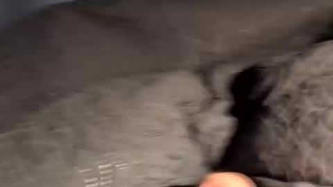 rebornbutbored online show from November 15, 11:40 am