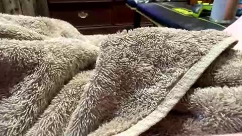 Red online show from March 17, 2:38 am