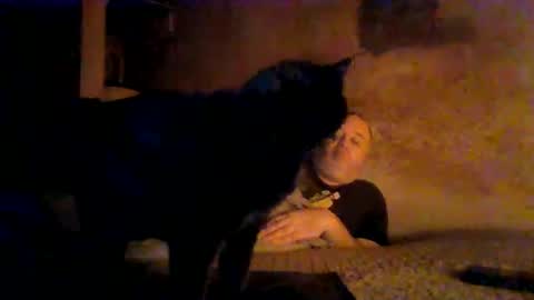 reddragon1195 online show from April 4, 4:55 am