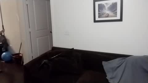 shy online show from September 21, 8:38 am