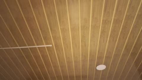 Snapshot of renaxi_smith chatting on January 17, 7:50 pm renaxi_smith online show from January 17, 7:50 pm