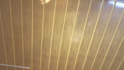 Snapshot of renaxi_smith chatting on February 22, 7:34 pm renaxi_smith online show from February 22, 7:34 pm