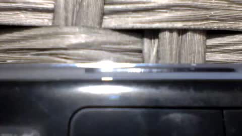 repeatergun10 online show from February 14, 11:07 am