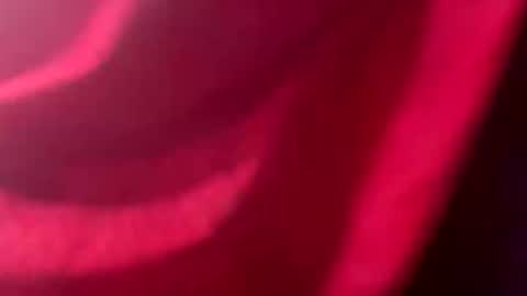 Snapshot of rg693669xxx chatting on February 8, 8:01 pm rg693669xxx online show from February 8, 8:01 pm