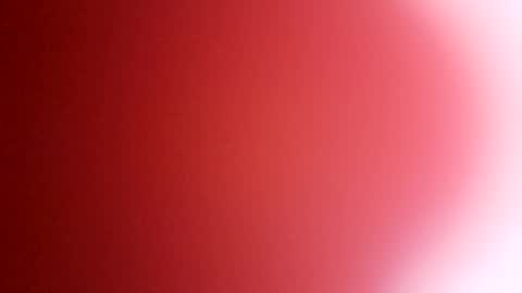 Snapshot of rhino69xx chatting on December 8, 6:54 am rhino69xx online show from December 8, 6:54 am