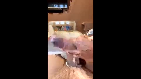 Snapshot of richmondal83 chatting on October 22, 3:01 pm richmondal83 online show from October 22, 3:01 pm